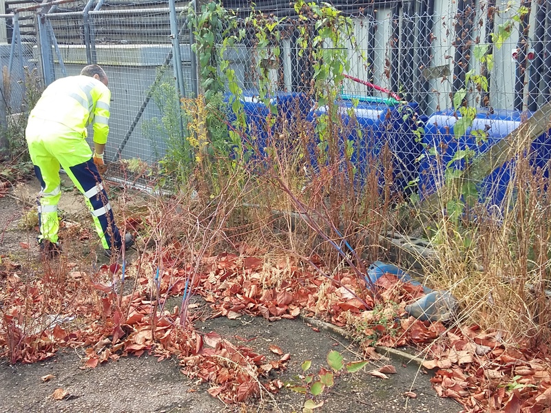 Image of a man in PPE inspecting a site.