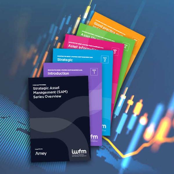 Strategic asset management guidance documents