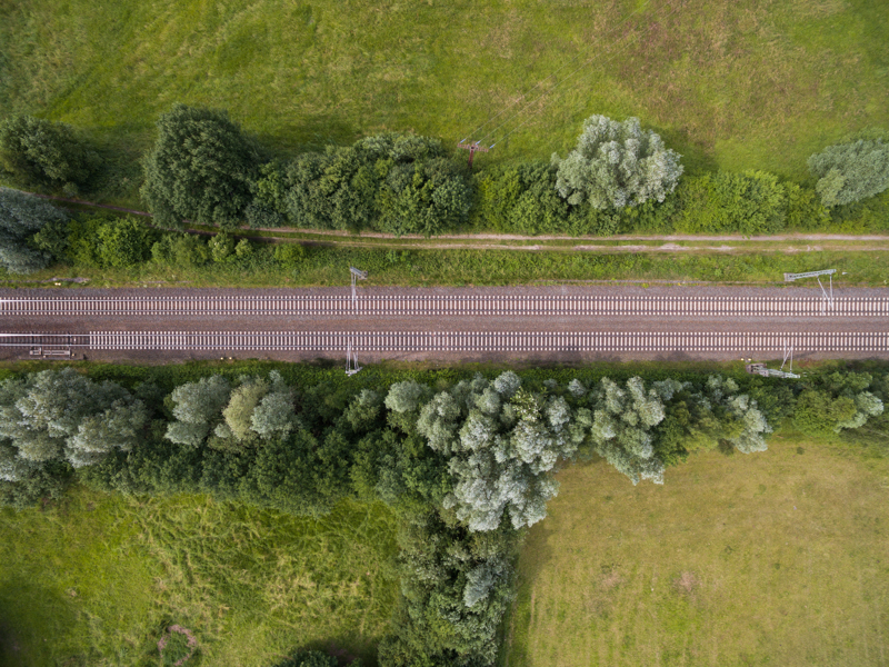 Ariel view of a straight road surrounded by trees